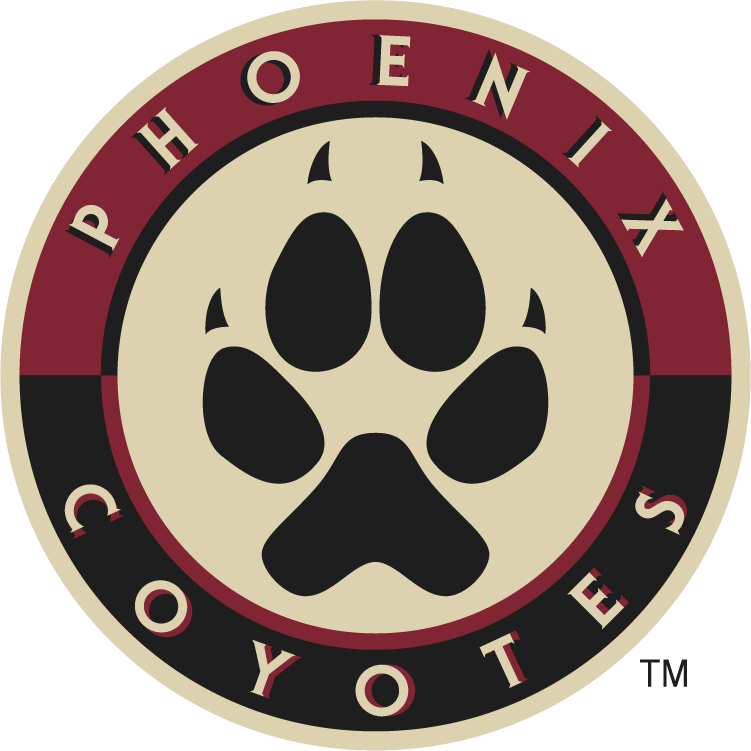 Phoenix Coyotes 2008-2014 Alternate Logo iron on transfers for T-shirts